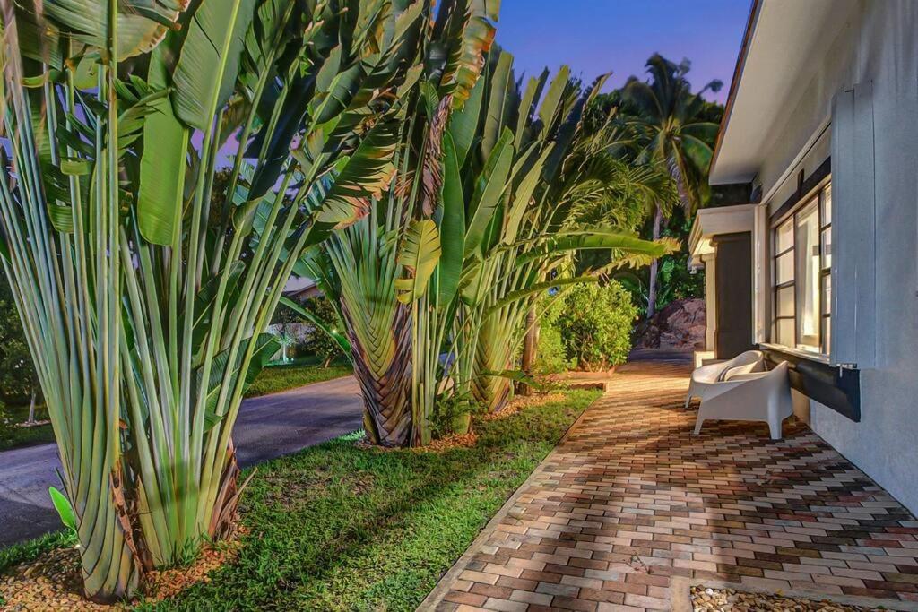 Paradise Palms House 德尔雷比奇 外观 照片
